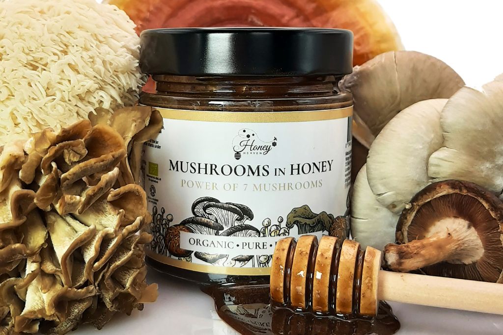 organic mushroom honey